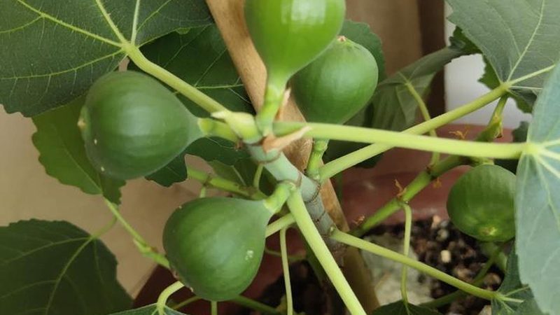 机房弱电工程：材料规格参数揭秘**